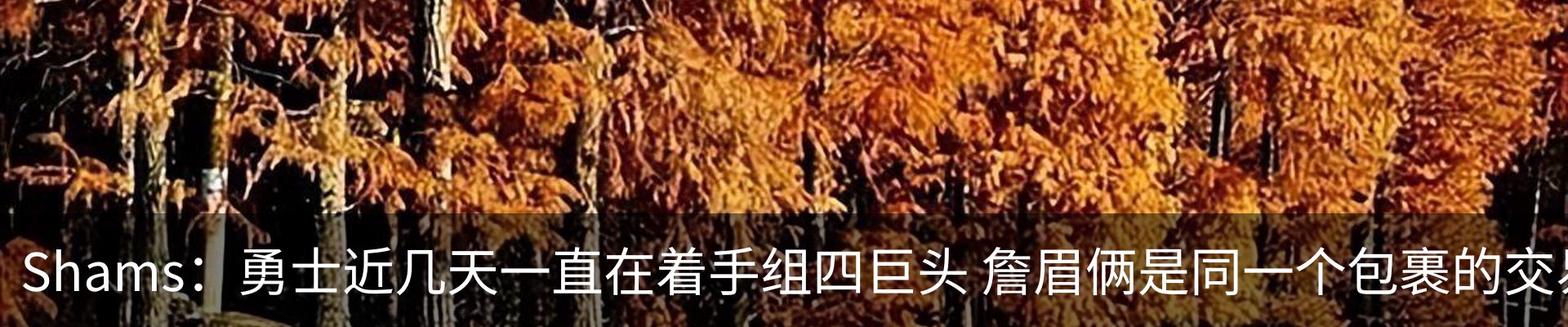 资讯动态